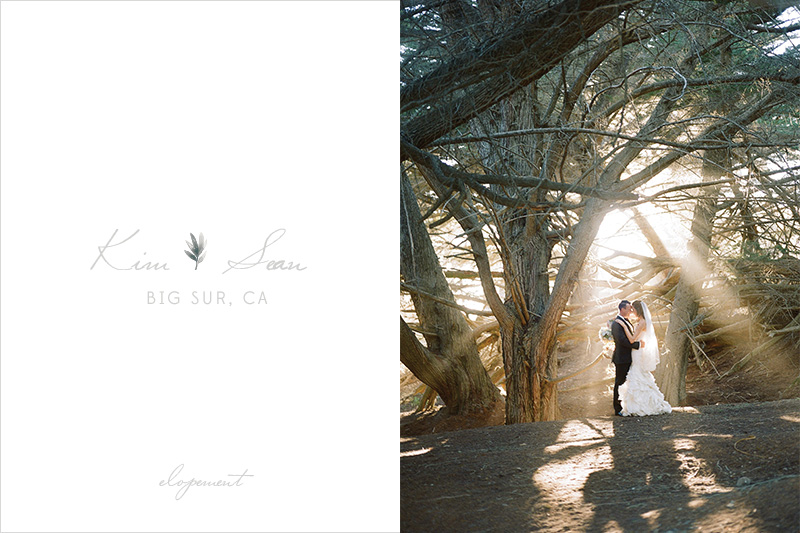 TWWL_BIG_SUR_ELOPEMENT_KS1