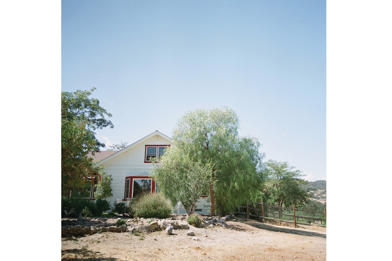 TWWL_VINEYARD_WEDDINGS_AP33