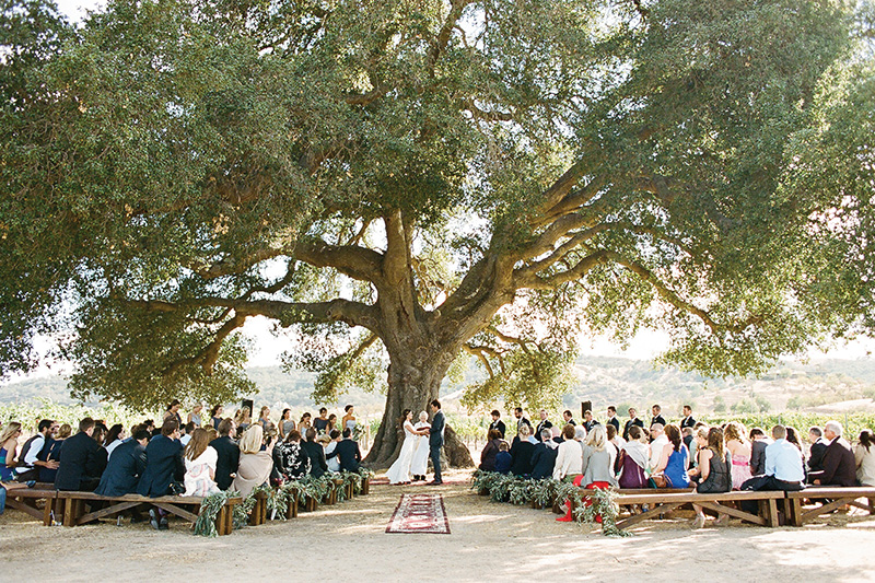TWWL_VINEYARD_WEDDINGS_AP7